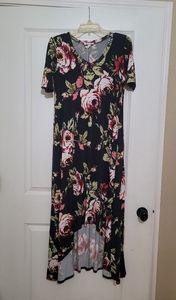 Zig Zag Stripe high low floral dress